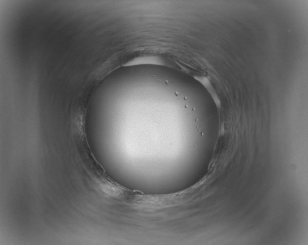 X0000073490045200608140853