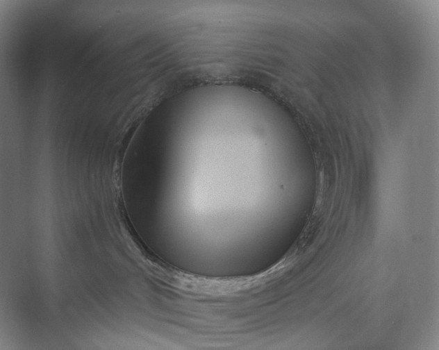 X0000073490048200608140853