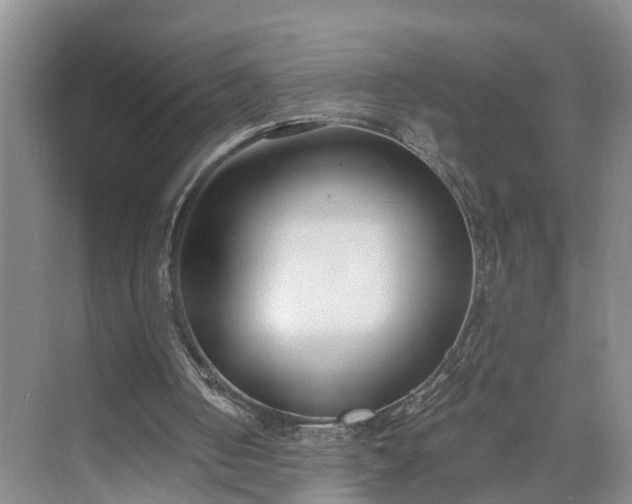 X0000073490050200608140852