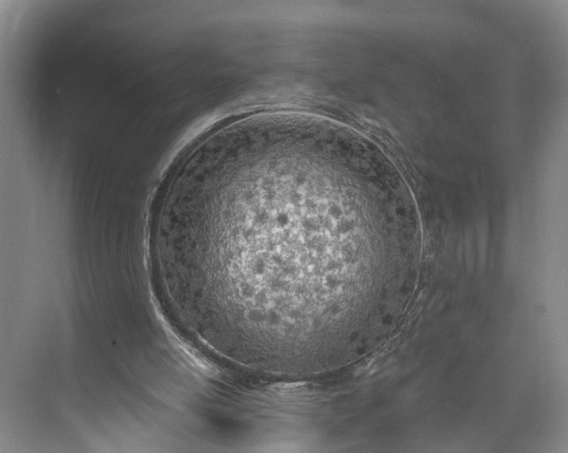 X0000073490054200608140853