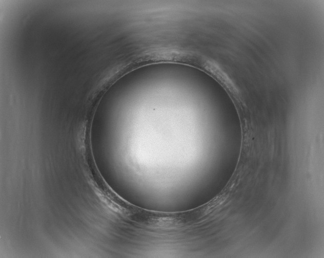 X0000073490058200608140853