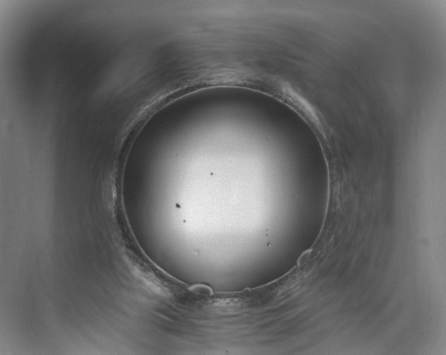 X0000073490059200608140853