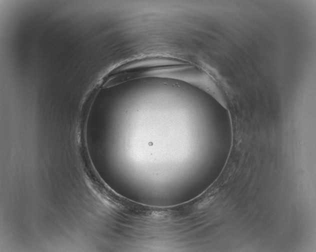 X0000073490060200608140853