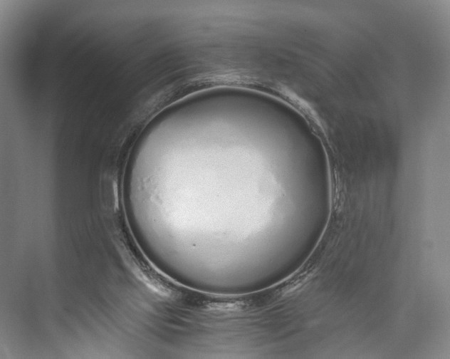 X0000073490061200608140853