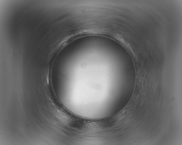 X0000073490062200608140853