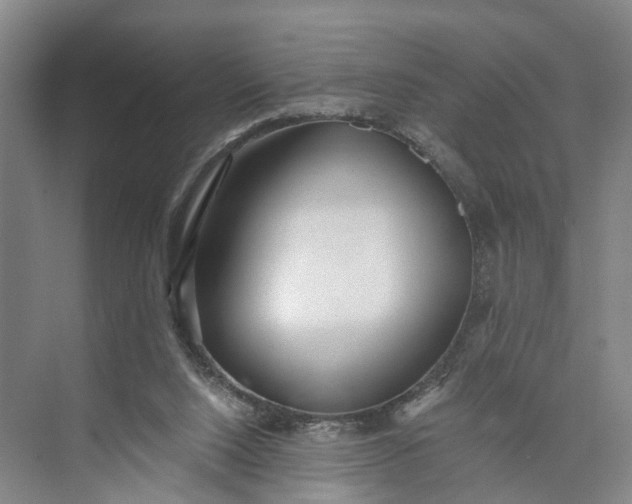 X0000073490064200608140853