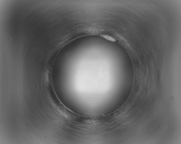 X0000073490071200608140853