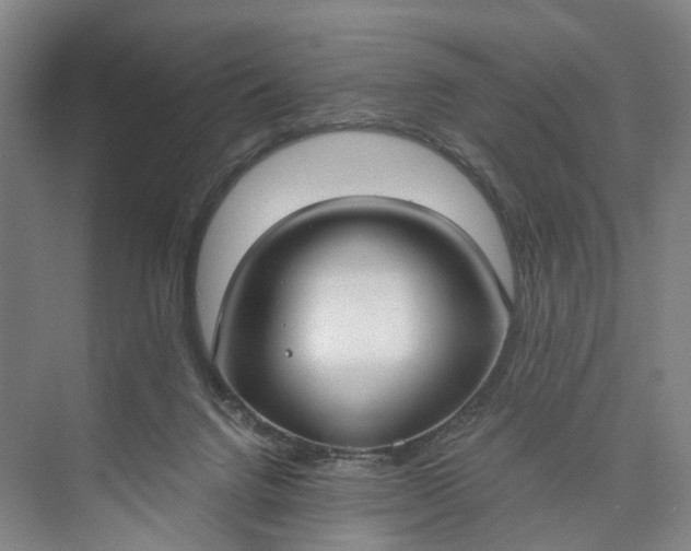 X0000073490072200608140853