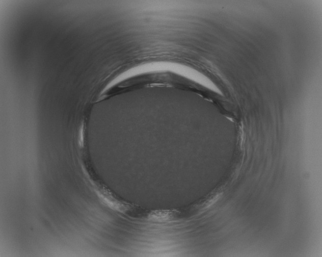 X0000073490076200608140853