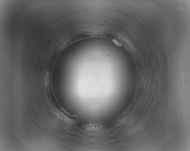 X0000073490077200608140853