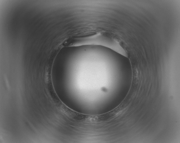 X0000073490080200608140853