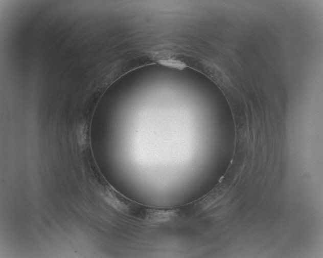 X0000073490081200608140853