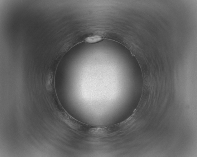 X0000073490082200608140853