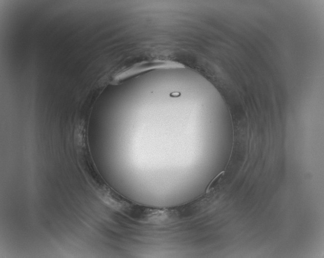 X0000073490083200608140853