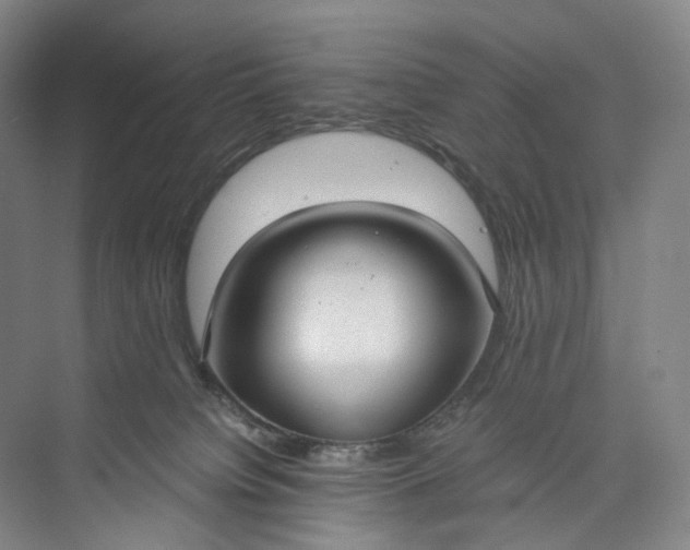 X0000073490084200608140853