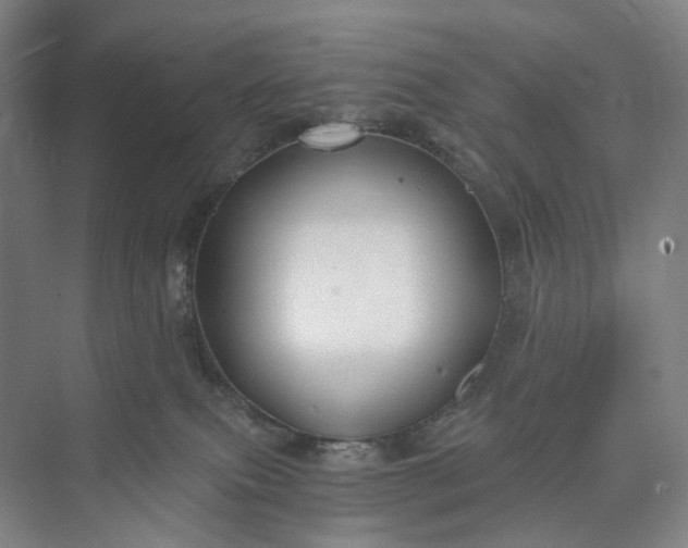 X0000073490087200608140853