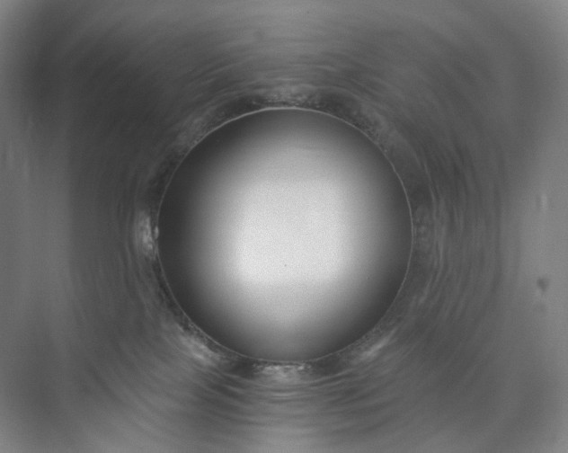 X0000073490089200608140853