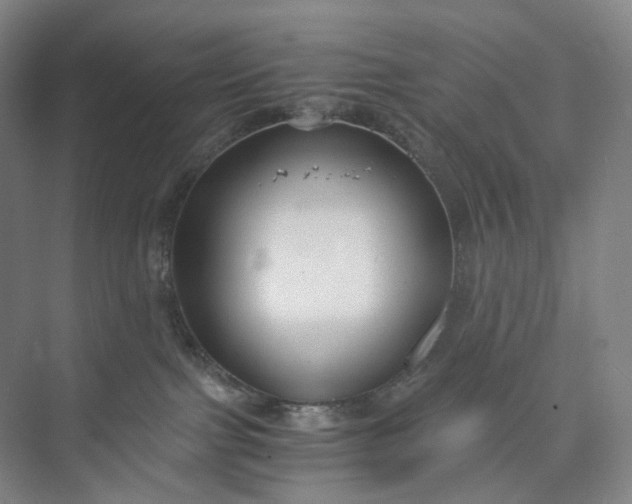 X0000073490091200608140853