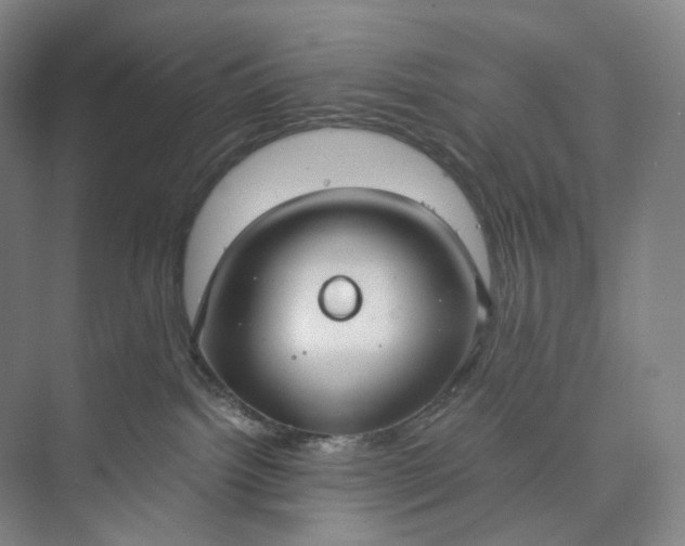 X0000073490092200608140853