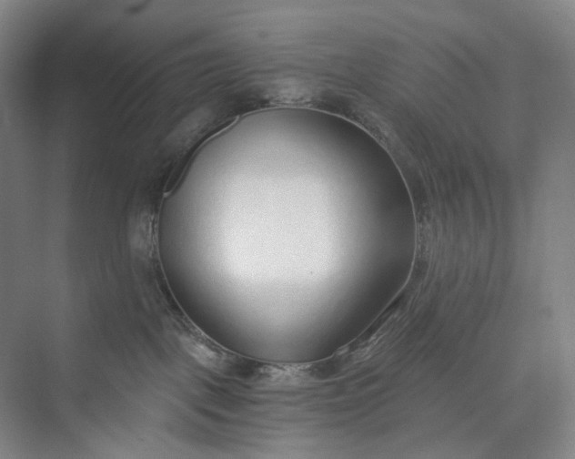 X0000073490093200608140853