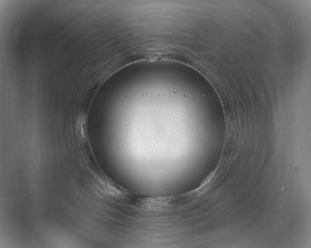 X0000073490094200608140853