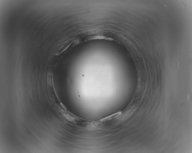 X0000073490096200608140853