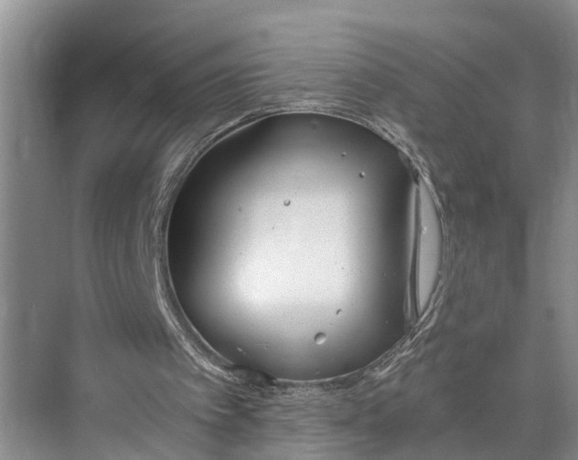 X0000073490097200608140852