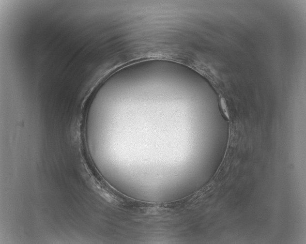 X0000073490098200608140852