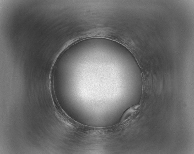 X0000073490100200608140852