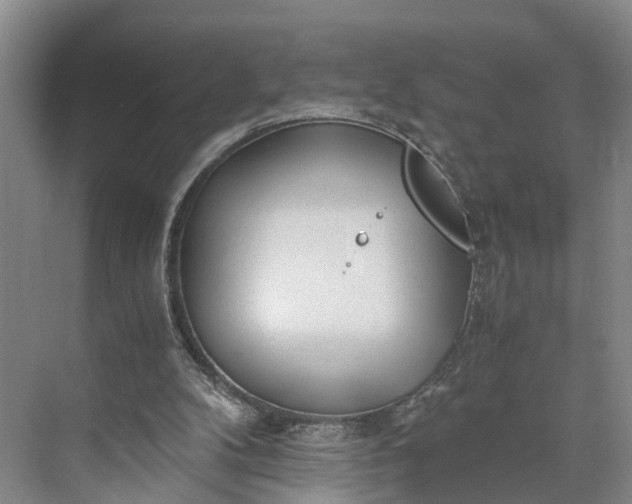 X0000073490104200608140852