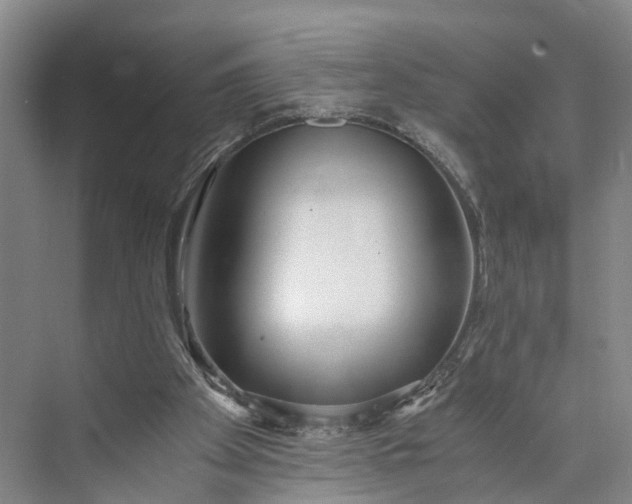 X0000073490105200608140852