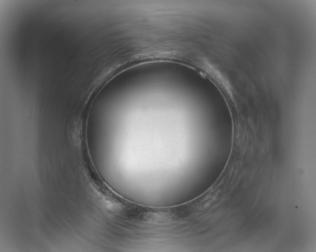 X0000073490107200608140852