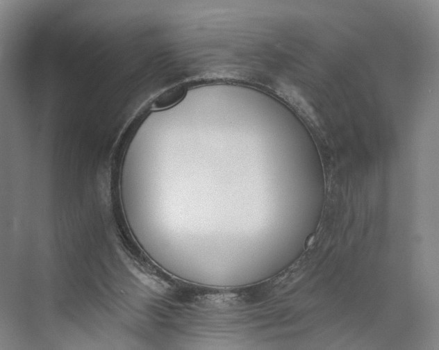 X0000073490108200608140852