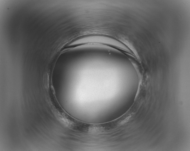 X0000073490109200608140852