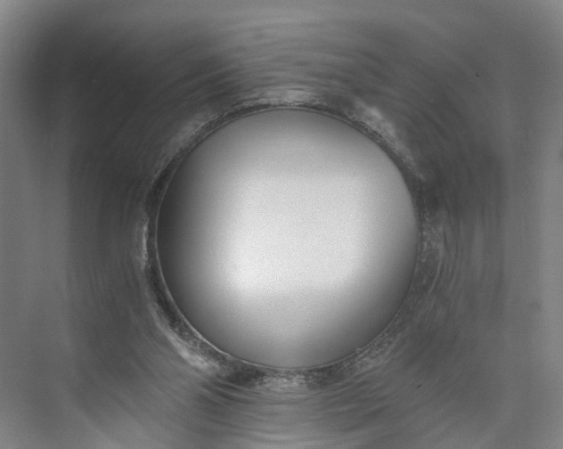 X0000073490110200608140852