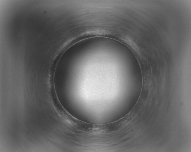 X0000073490111200608140852