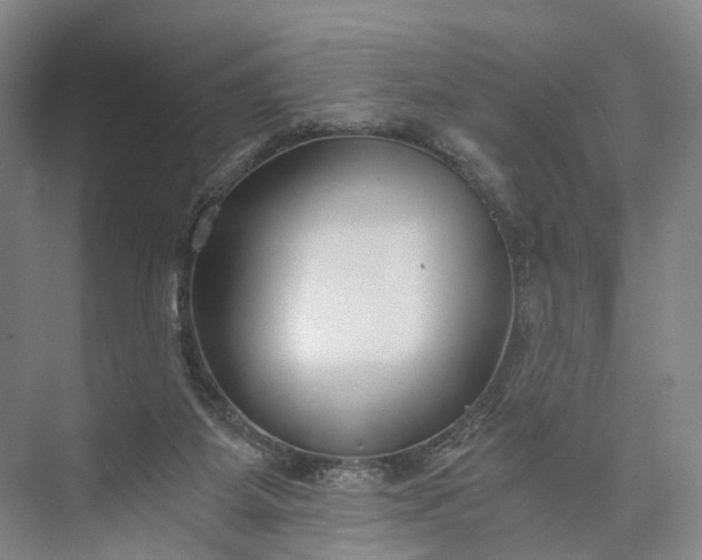 X0000073490115200608140852