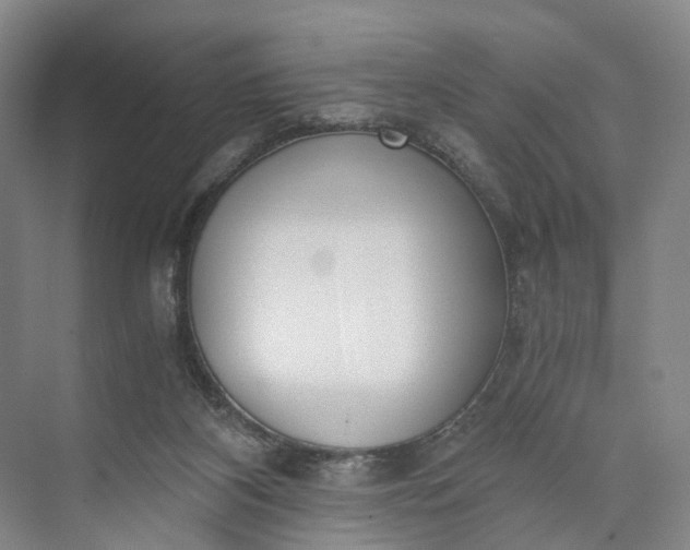 X0000073490116200608140852