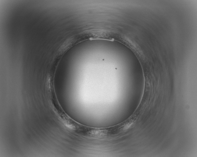 X0000073490117200608140852