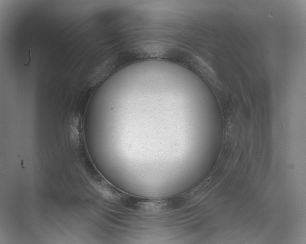 X0000073490122200608140852