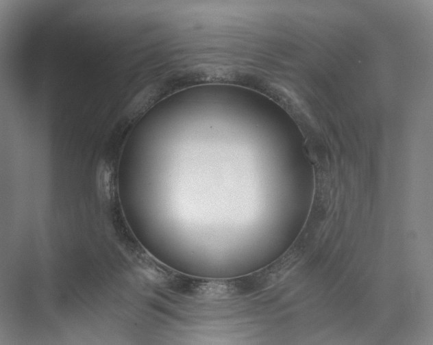 X0000073490123200608140852