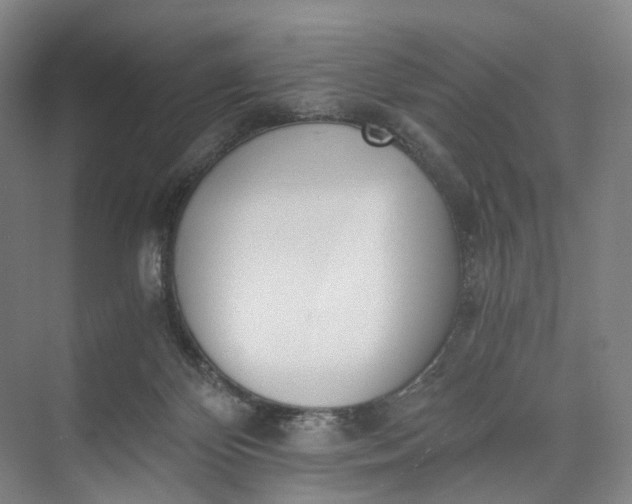 X0000073490124200608140852