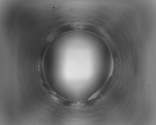 X0000073490125200608140852