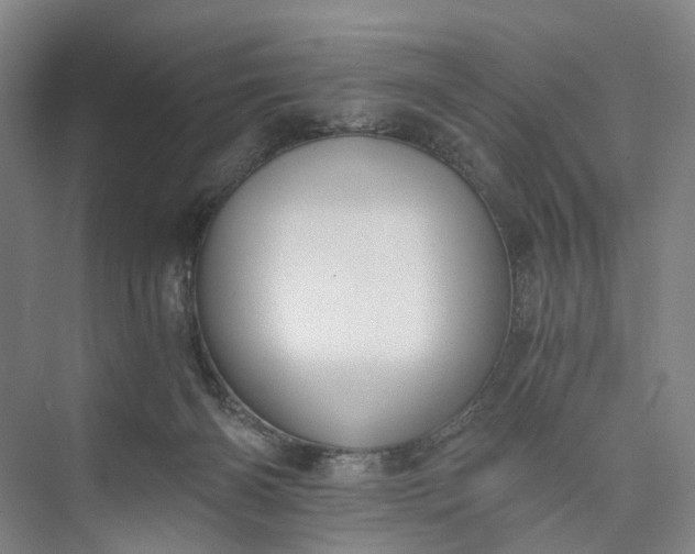 X0000073490126200608140852