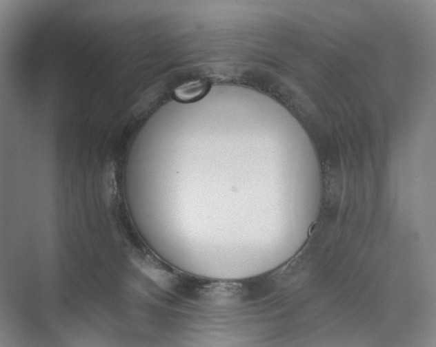 X0000073490128200608140852