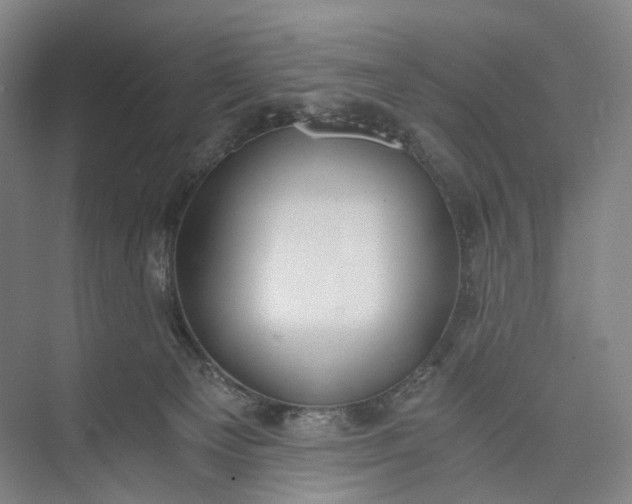 X0000073490129200608140852