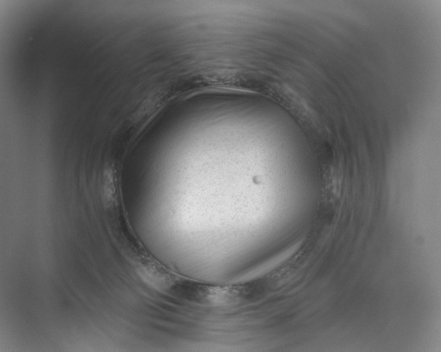 X0000073490130200608140852