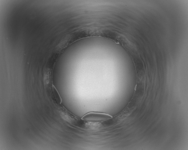 X0000073490133200608140852