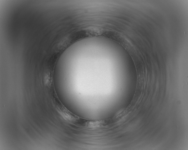 X0000073490134200608140852