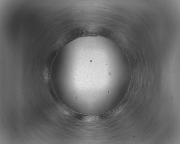 X0000073490135200608140852